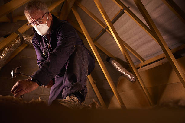 Best Insulation Maintenance and Repair in Quartz Hill, CA